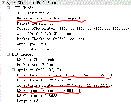 OSPF 小结_OSPF_06